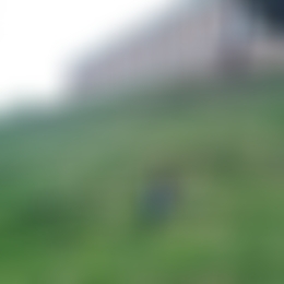 Пара ищет девушку для приятных встреч Пара ищет девушку для приятных встреч